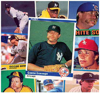 Click the Goose Gossage Card Collage for the Bio page.